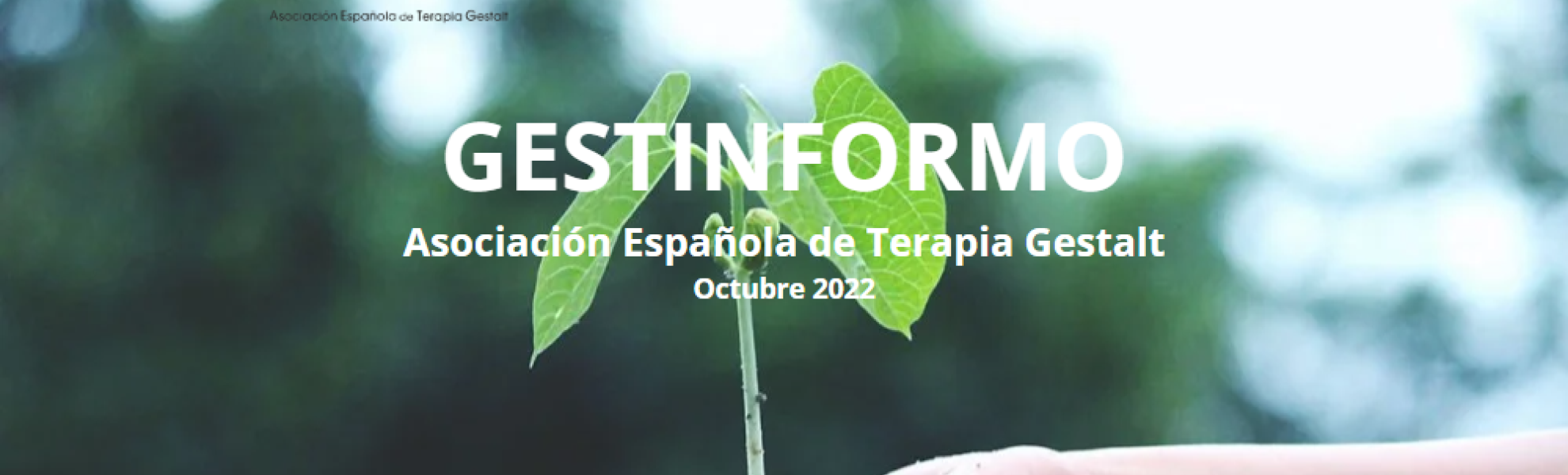 Gestinformo octubre 2022