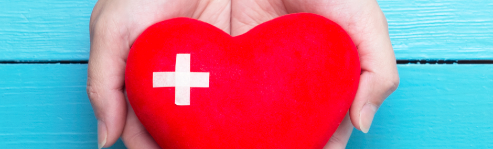 Comisión de Salud y sanidad