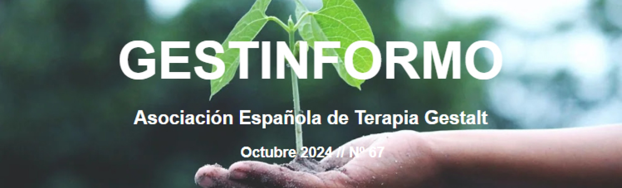 Gestinformo 67