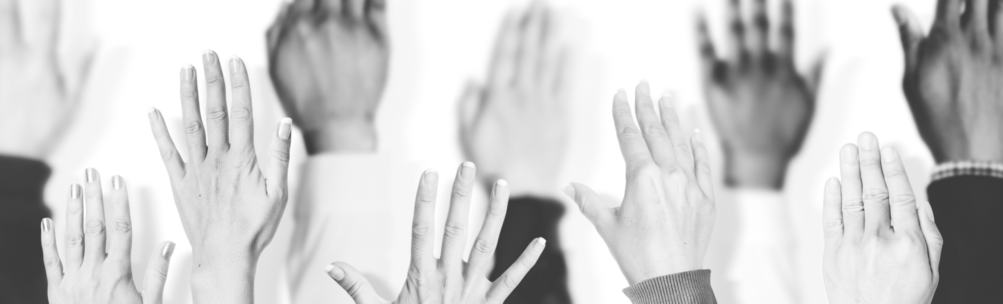 proceso participativo Ser y pertenecer