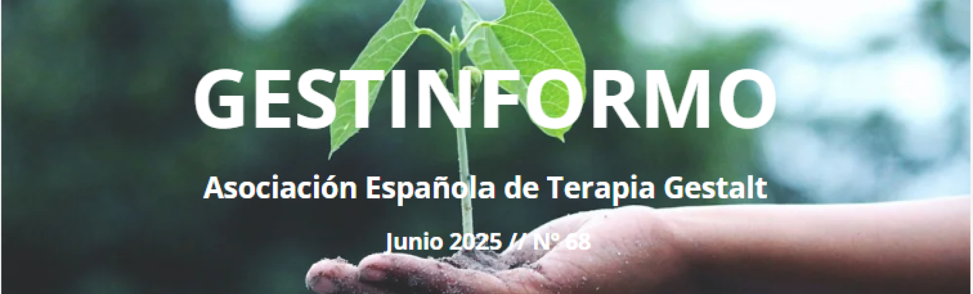 Gestinformo nº68